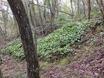 ★DSCF8412.JPG