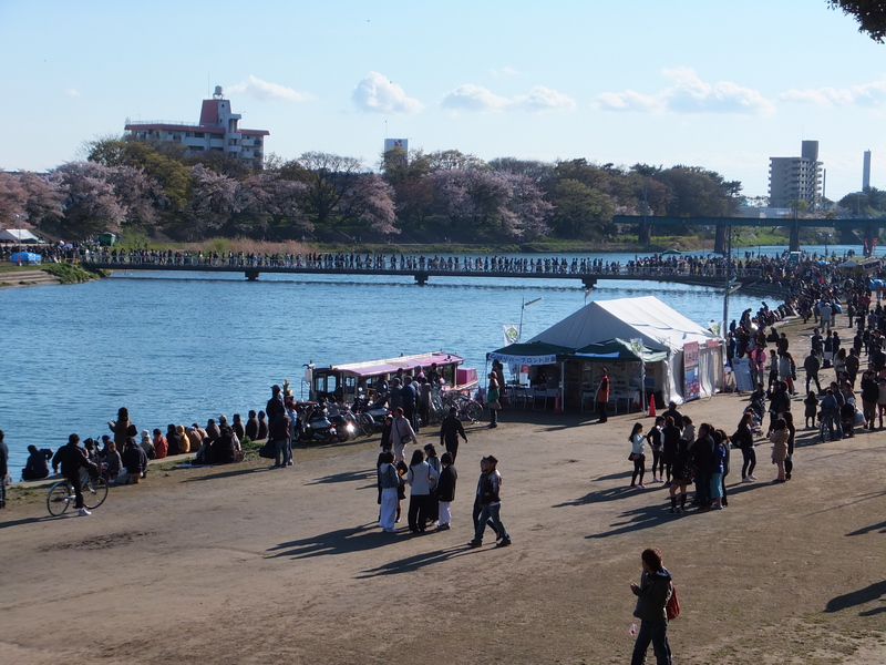 http://www.giin-dnwu.com/suzuki_hideki/images/%E2%98%85DSCF5551.JPG