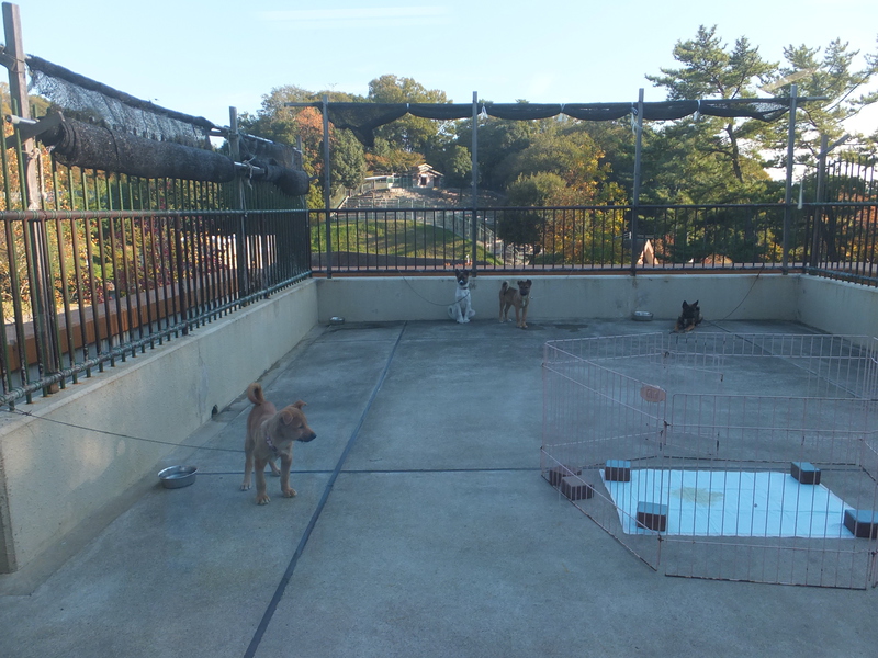 http://www.giin-dnwu.com/suzuki_hideki/images/%E2%98%85DSCF8388.JPG