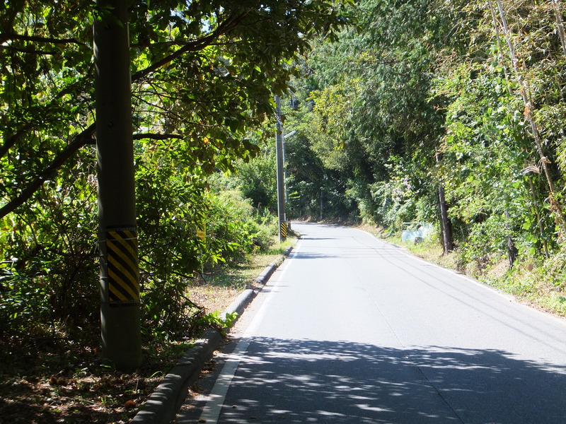 http://www.giin-dnwu.com/suzuki_hideki/images/DSCF3019.JPG