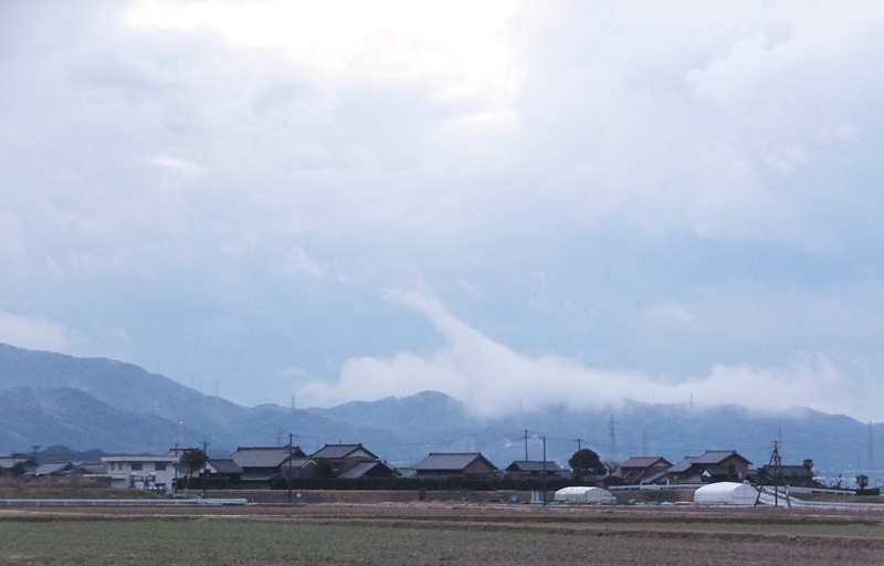 http://www.giin-dnwu.com/suzuki_hideki/images/DSCF9077%20-%20%E3%82%B3%E3%83%94%E3%83%BC.JPG